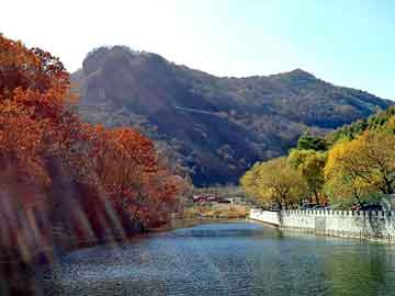 新澳天天开奖资料大全旅游团，空白广告衫